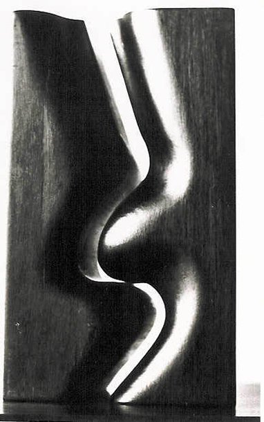 1979 formas ensambladas